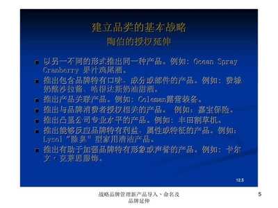 战略品牌管理新产品导入丶命名及品牌延伸课件