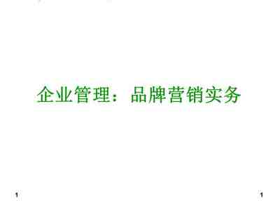 企业管理品牌营销实务产品价格策略